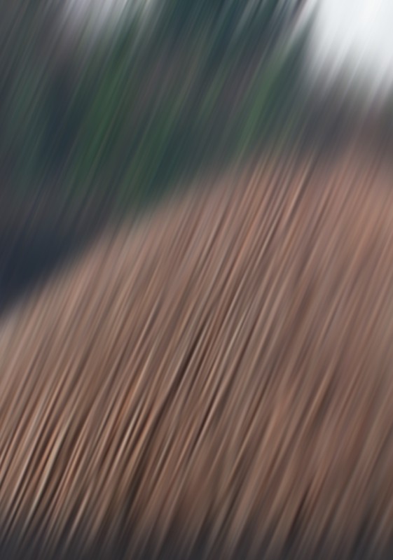 Bild/Foto
